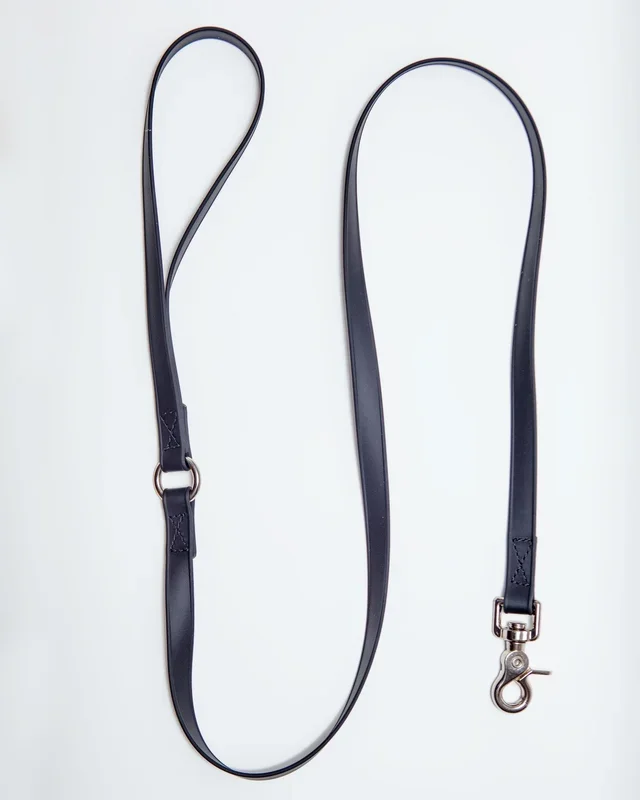 A Walk in the Park Dog Leash in Black (Made in the USA)