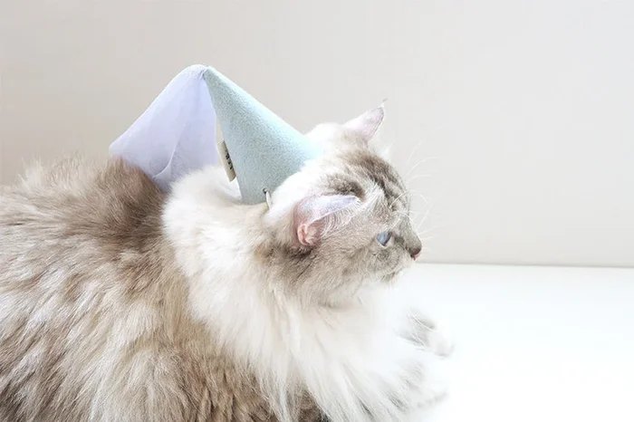 Bella Hat . Mint