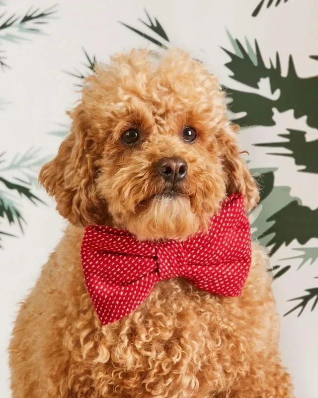 Berry Stitch Dog Bow Tie (Made in the USA)