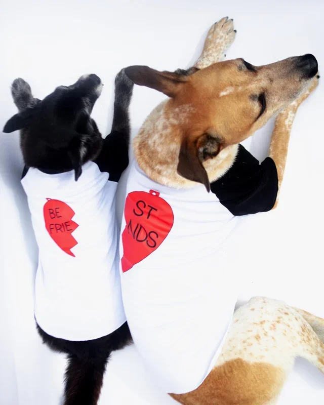 *Best Friends* Graphic Dog T-Shirt Set