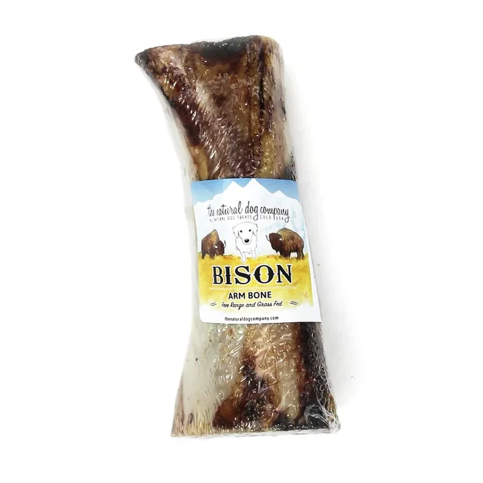 Bison Arm Bone