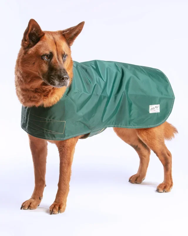 Carson Reversible Dog Raincoat in Green & Tan (Made in the USA)