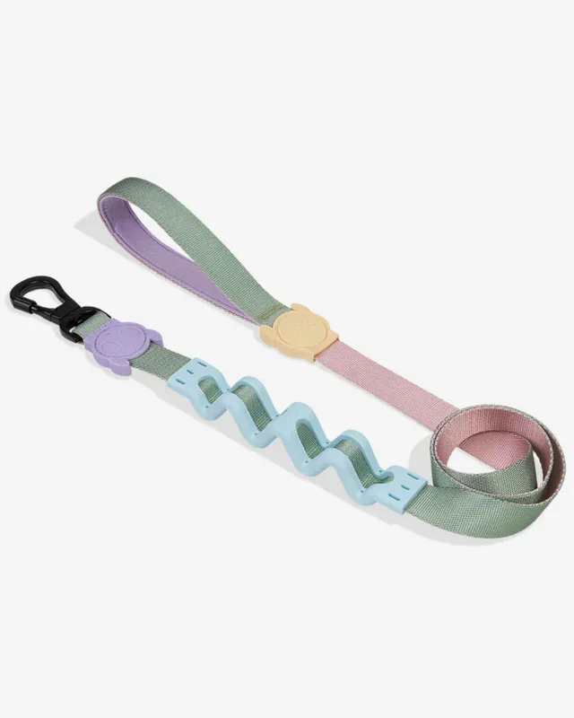 Ruff Leash for Dogs in Peach