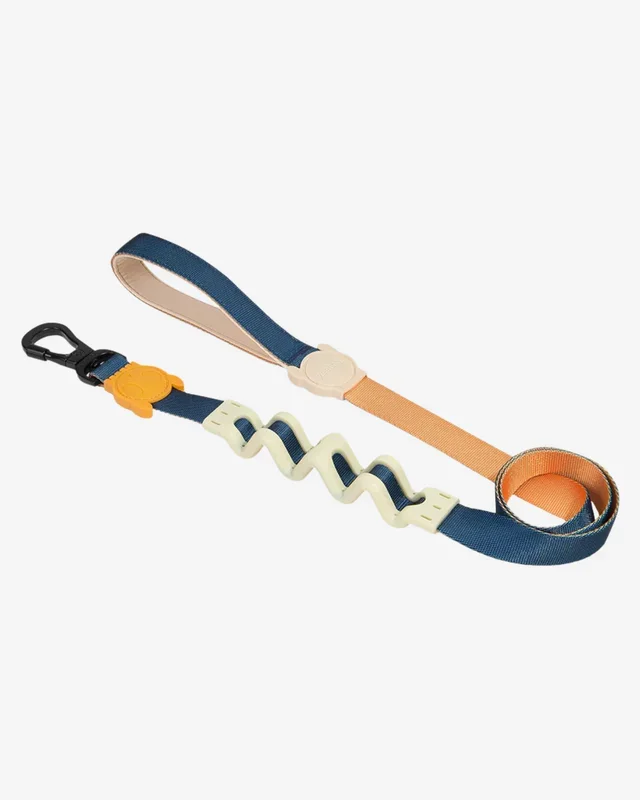 Ruff Leash for Dogs in Voyage