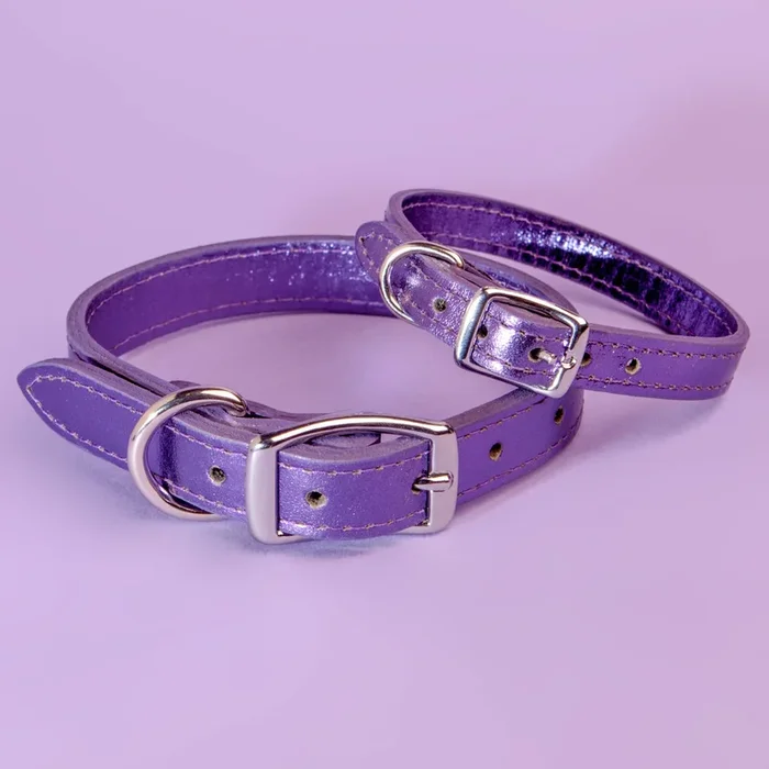 Shimmer Leather Dog Collar in Metallic Purple