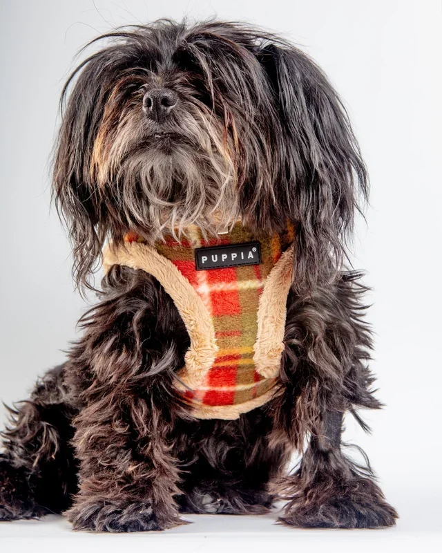 Soft Fleece Step-In Dog Harness In Plaid (FINAL SALE)