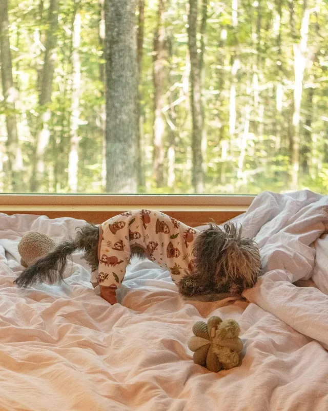 Super Soft Sloth Pajamas for Dogs