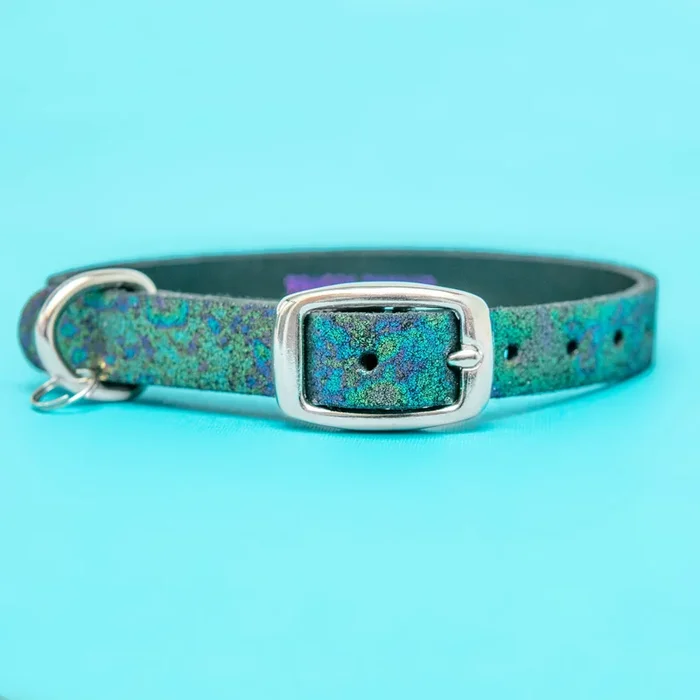 The Cleo Leather Tag Collar in Oil Slick Sparkle (Exclusive to Dog & Co.)