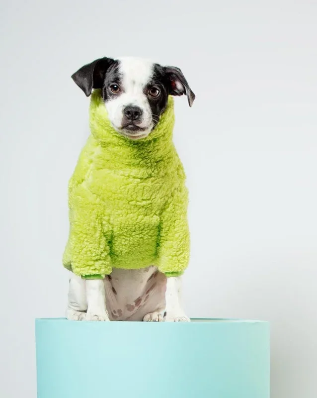 The Highlighter Fleece Sweatshirt (FINAL SALE)