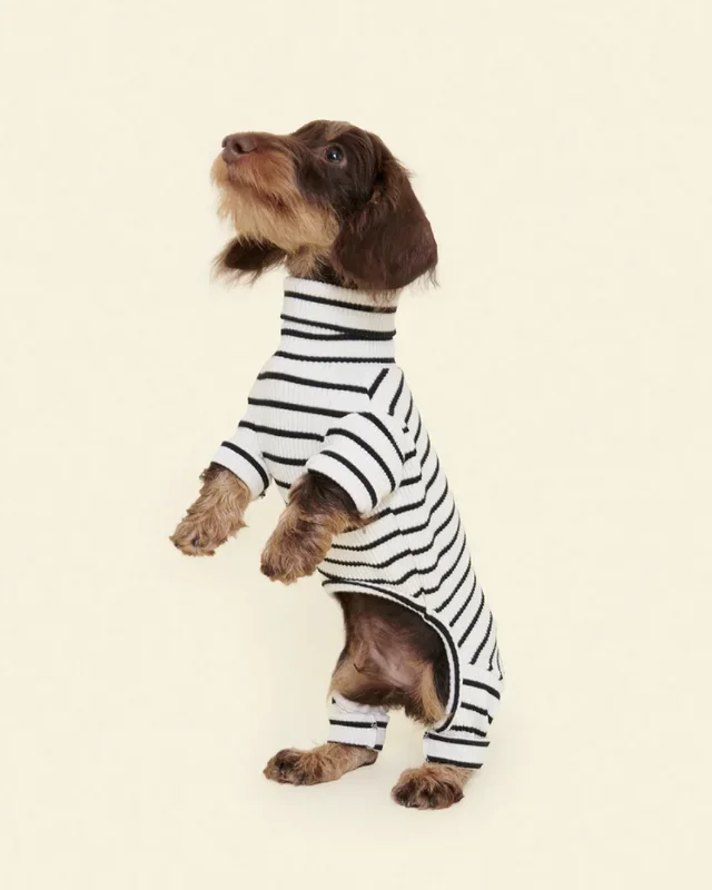 World’s Your Oyster Dog Onesie